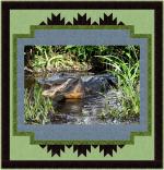 Matted and Framed by 